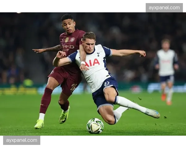 数据模型显示：英超第四名争夺概率，热刺微弱领先维拉